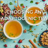 adaptogenic herbs and cups of adaptogenic tea