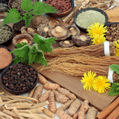 adaptogen herbs and mushrooms