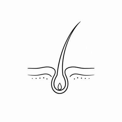 scalp icon